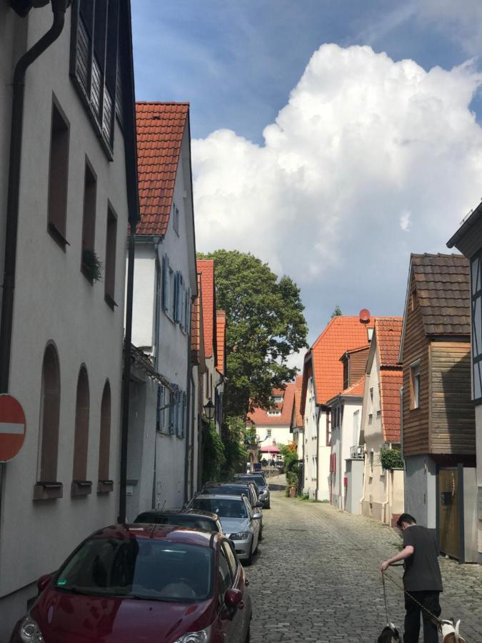 Ferienapartments Zwingenberg Zwingenberg  외부 사진